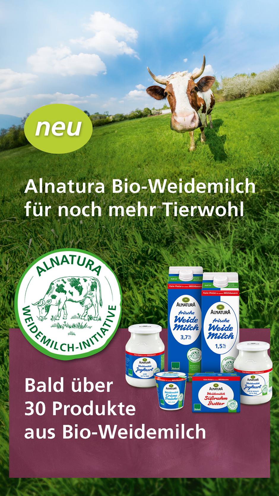 Weitwinkelaufnahme einer Kuh auf der Weide. Davor Siegel der "Alnatura Weidemilch-Initiative" mit sechs Alnatura Weidemilch-Produkten.