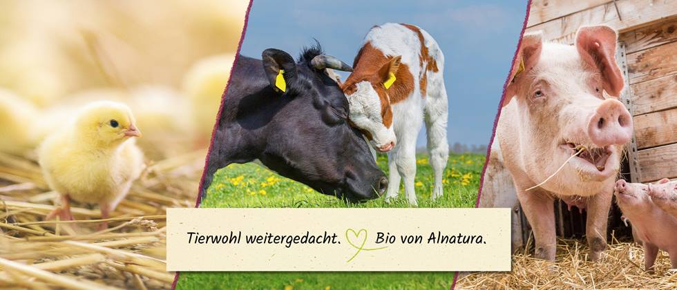 Mehrere Tierbilder (Küken, Rinder und Schweine) mit Textfeld "Tierwohl weitergedacht. Bio von Alnatura."