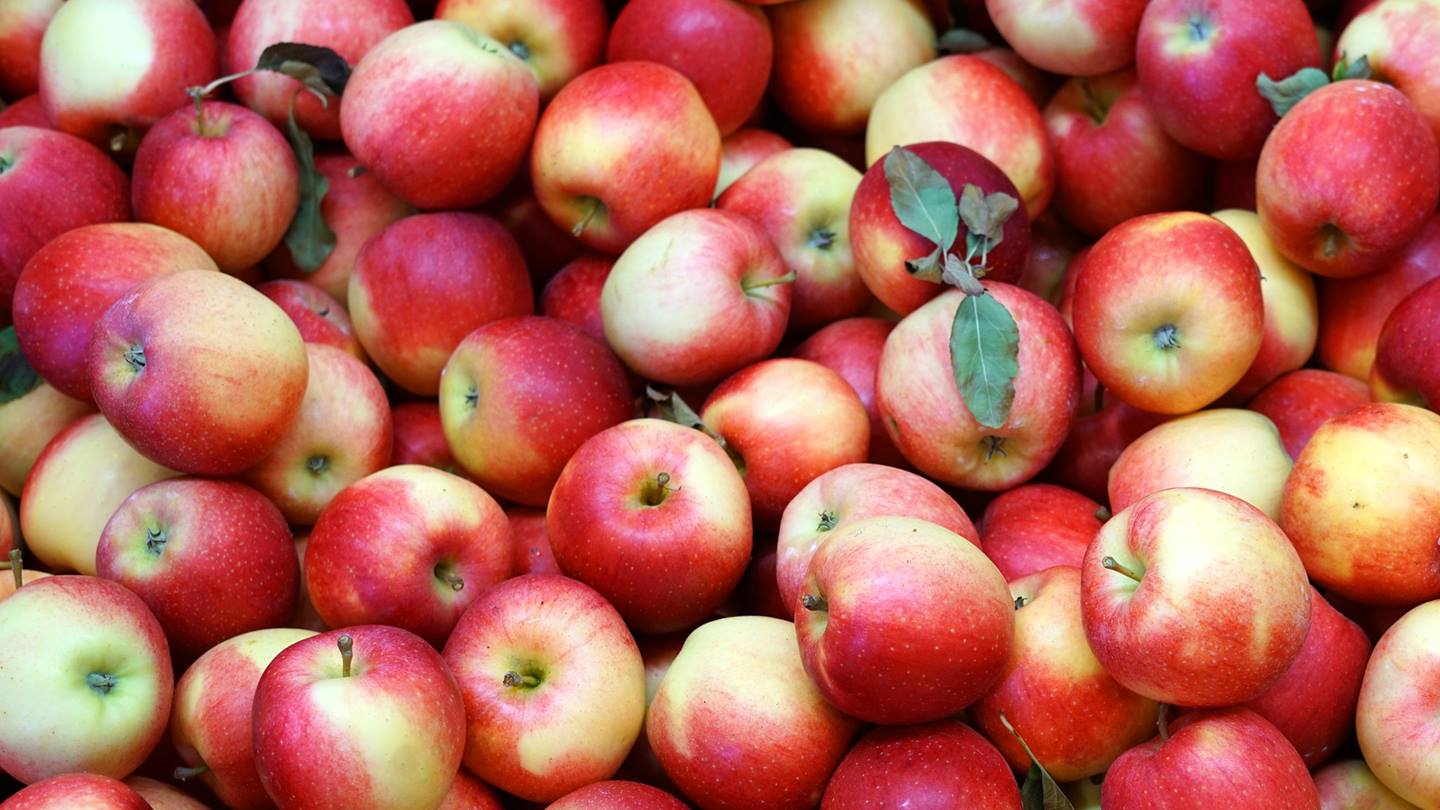 Alnatura Saisonkalender: Apfel