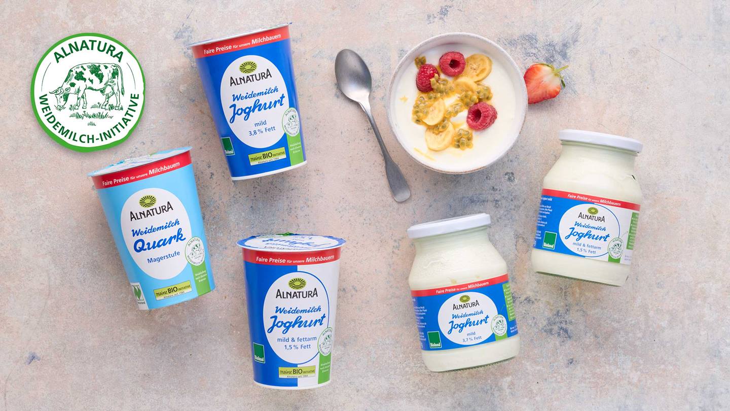 Das Bild zeigt verschiedene Produkte der Marke Alnatura: Joghurt (mild, 3,8% Fett; mild & fettarm, 1,5% Fett) und Magerquark. Die Produkte sind auf einem hellen Untergrund arrangiert, neben einer Schale Joghurt mit Früchten (Himbeeren, Banane, Passionsfrucht) und einem Löffel. Im Hintergrund ist ein Logo der "Alnatura Weidemilch-Initiative" zu sehen, welches auf faire Preise für Milchbauern hinweist. Das Bild wirkt werblich und soll die Produkte und die Initiative präsentieren.