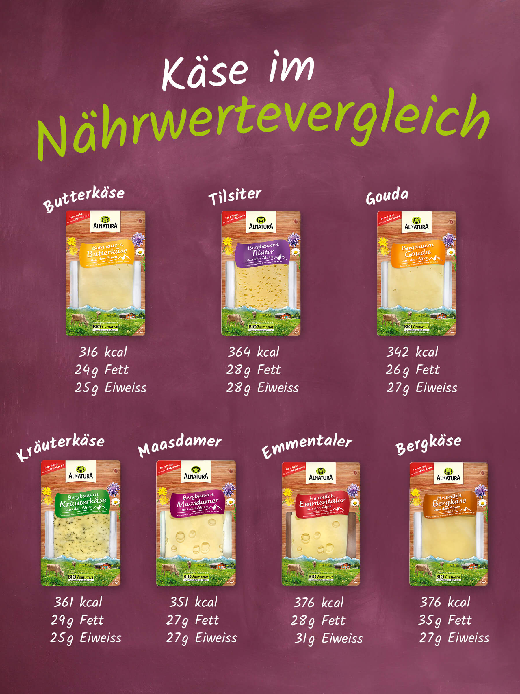 Eine Abbildung zeigt die unterschiedlichen Käsesorten Butterkäse, Tilsiter, Gouda, Kräuterkäse, Maasdamer, Emmentaler und Bergkäse mit dessen Nährwerten Fett und Eiweiß, sowie den Kilokalorien pro 100g .