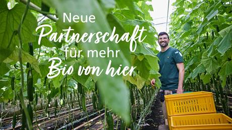 Gärtner steht in einem Gewächshaus mit Gurkenpflanzen und lächelt in die Kamera. Dazu der Text: "Neue Partnerschaft für mehr Bio von hier"