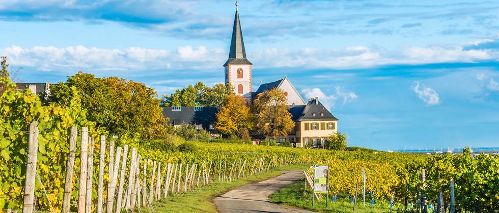 Alnatura in Hochheim am Main