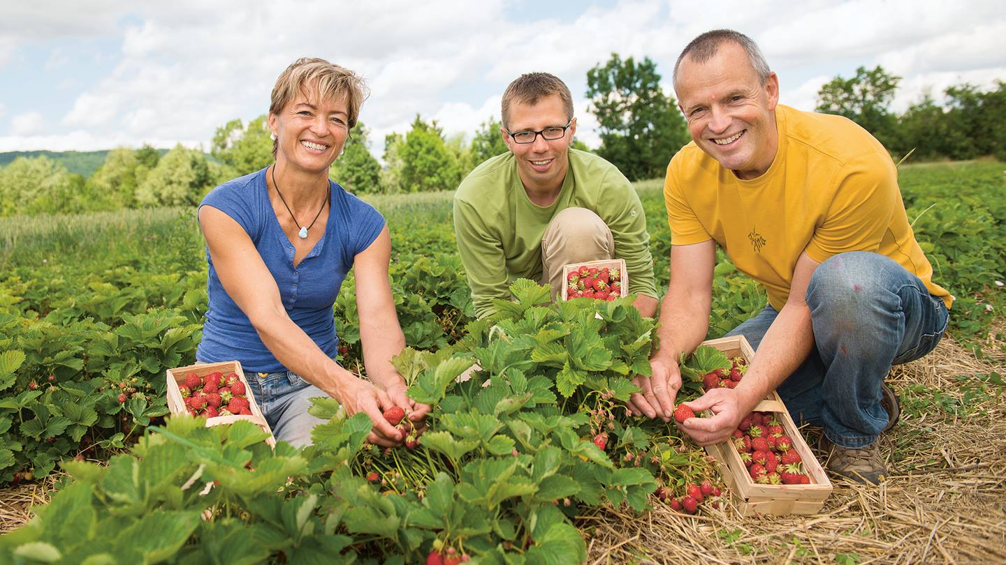Alnatura Bio-Bauer-Partner aus der Region Die Beerenbauern