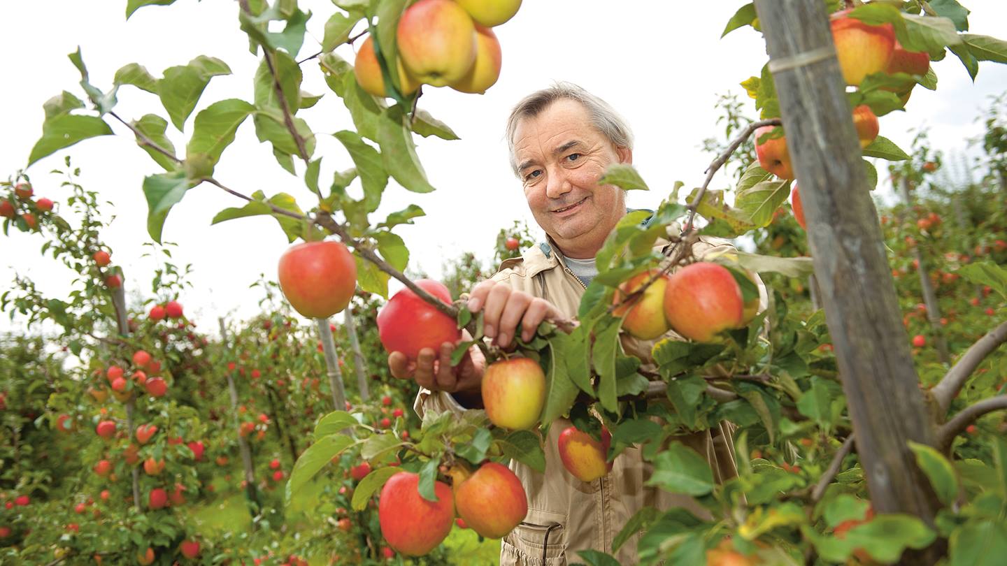 Alnatura Bio-Bauer-Partner aus der Region Demeter-Hof Hubert Bois