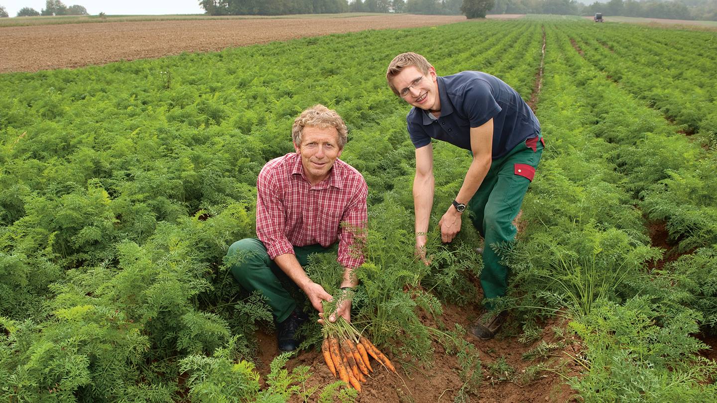 Alnatura Bio-Bauer-Partner aus der Region Bioland-Hof Petrik