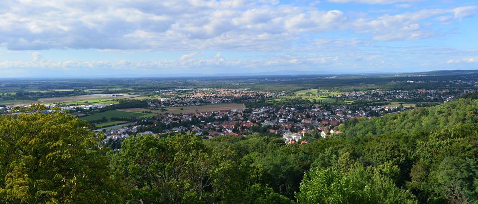 Alnatura Alsbach: Blick über Alsbach