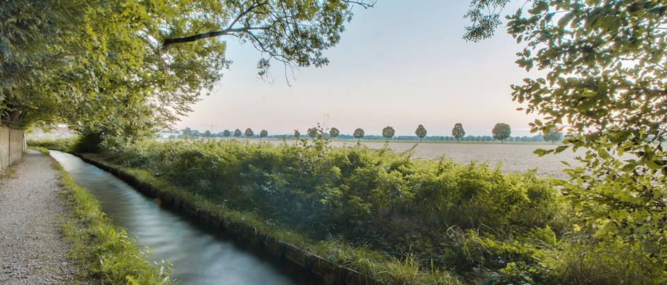 Alnatura Unterhaching: Landcshaft mit Bach und Feldern