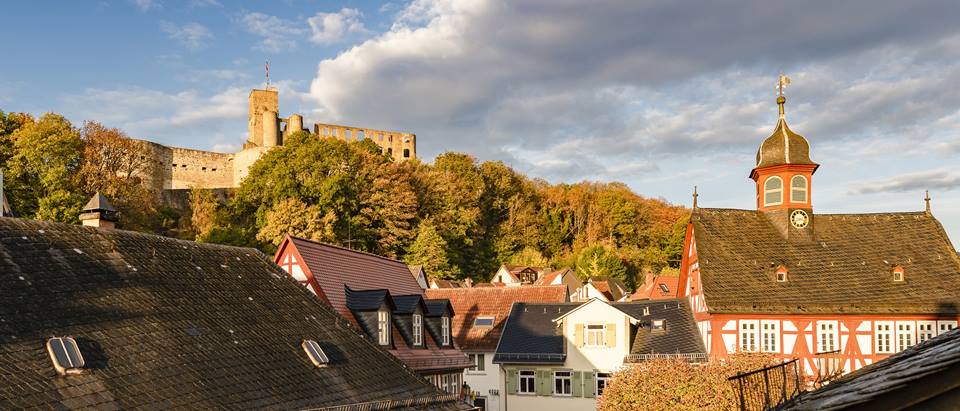 Alnatura Königstein: Stadtpanorama mit Festung Königstein im Hintergrund