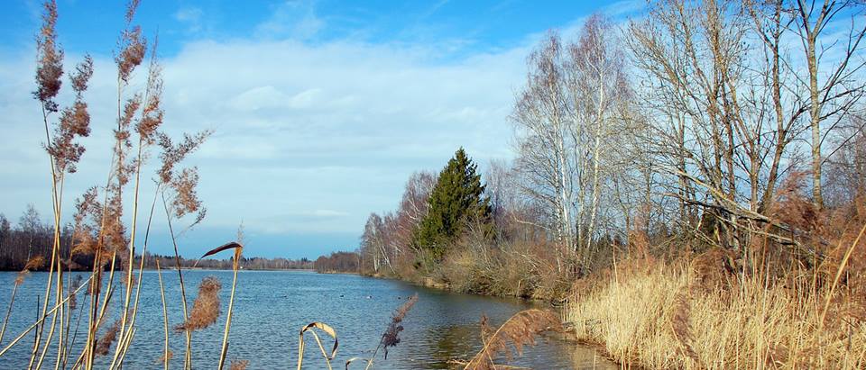 Alnatura Neusäss: Flusslandschaft