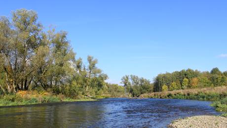 Alnatura Witten: Flusslandschaft mit Bäumen in Witten