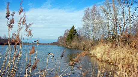 Alnatura Neusäss: Seenlandschaft in Neusäss