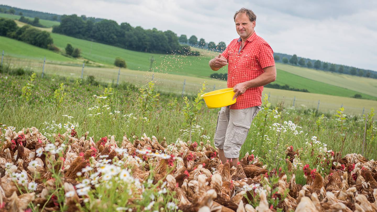 Alnatura Eierbauer Kölbl