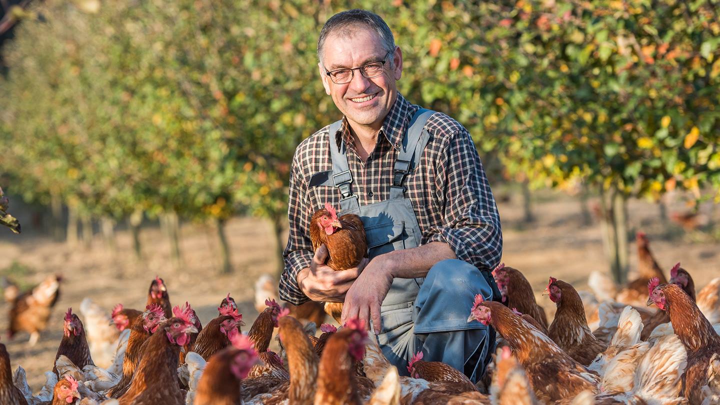 Alnatura Eierbauer Höflsauer
