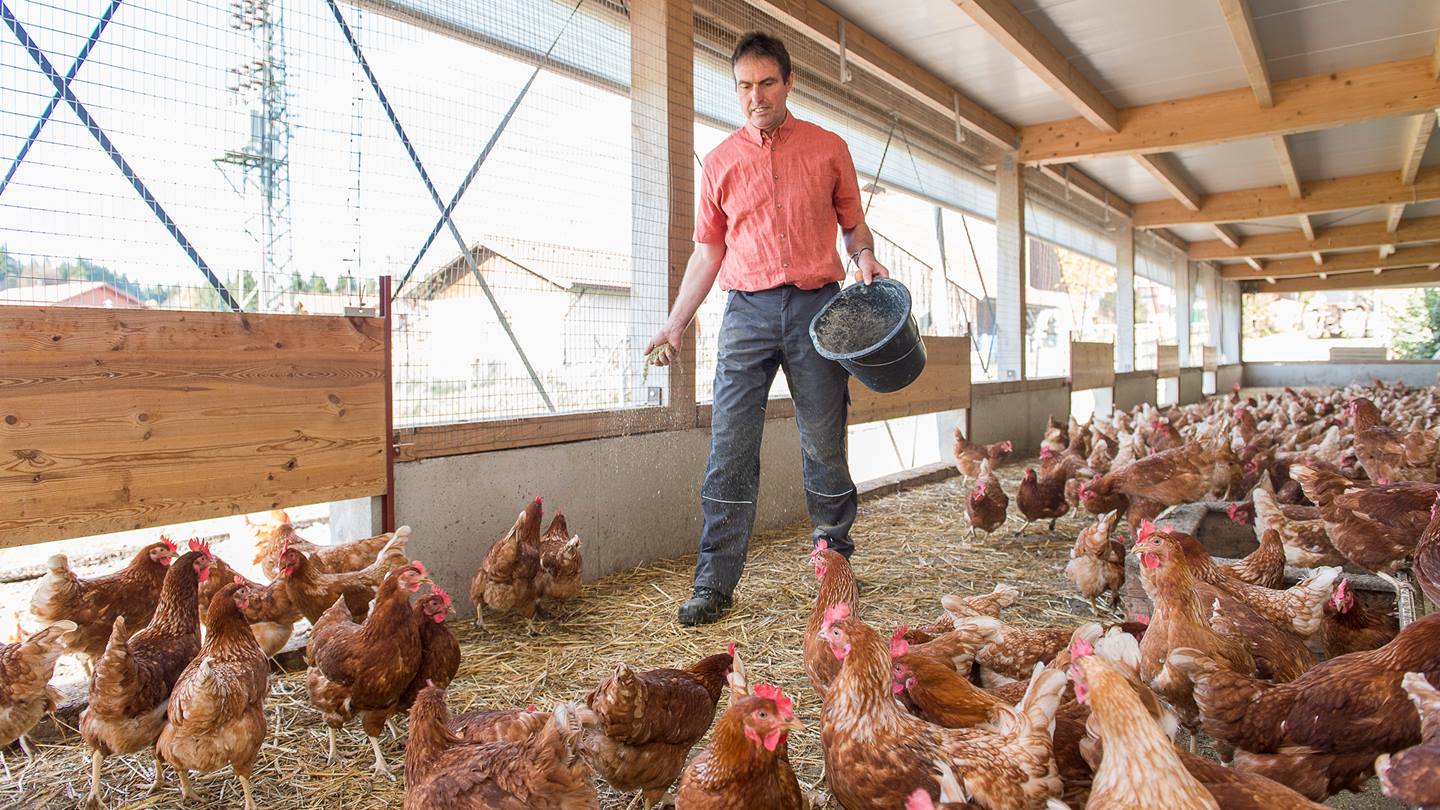 Alnatura Eierbauer Dötz