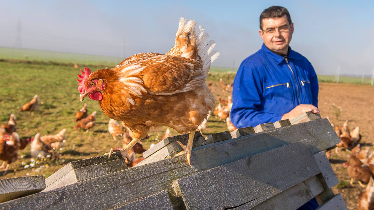 Alnatura Eierbauer Heislbetz