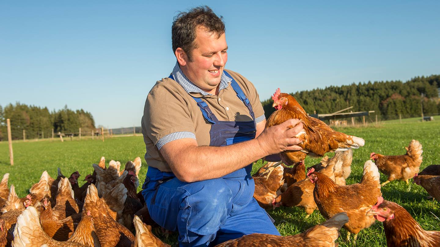 Alnatura Eierbauer Kempfle