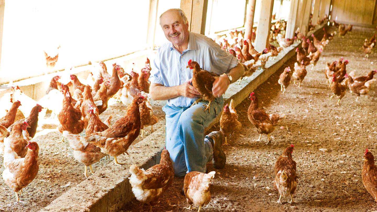 Alnatura Eierbauer Dietmaier