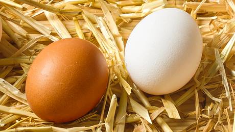 2 Eier in Nahaufahme