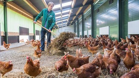 Alnatura Eierbauer Wendt