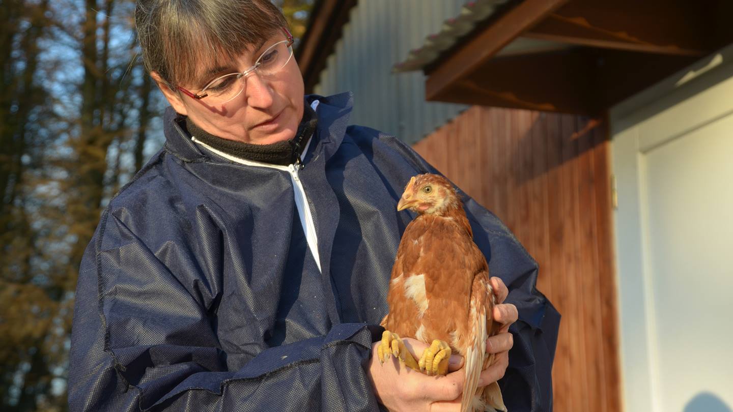 Dr. Christiane Kepler die Alnatura Hühnerflüsterin
