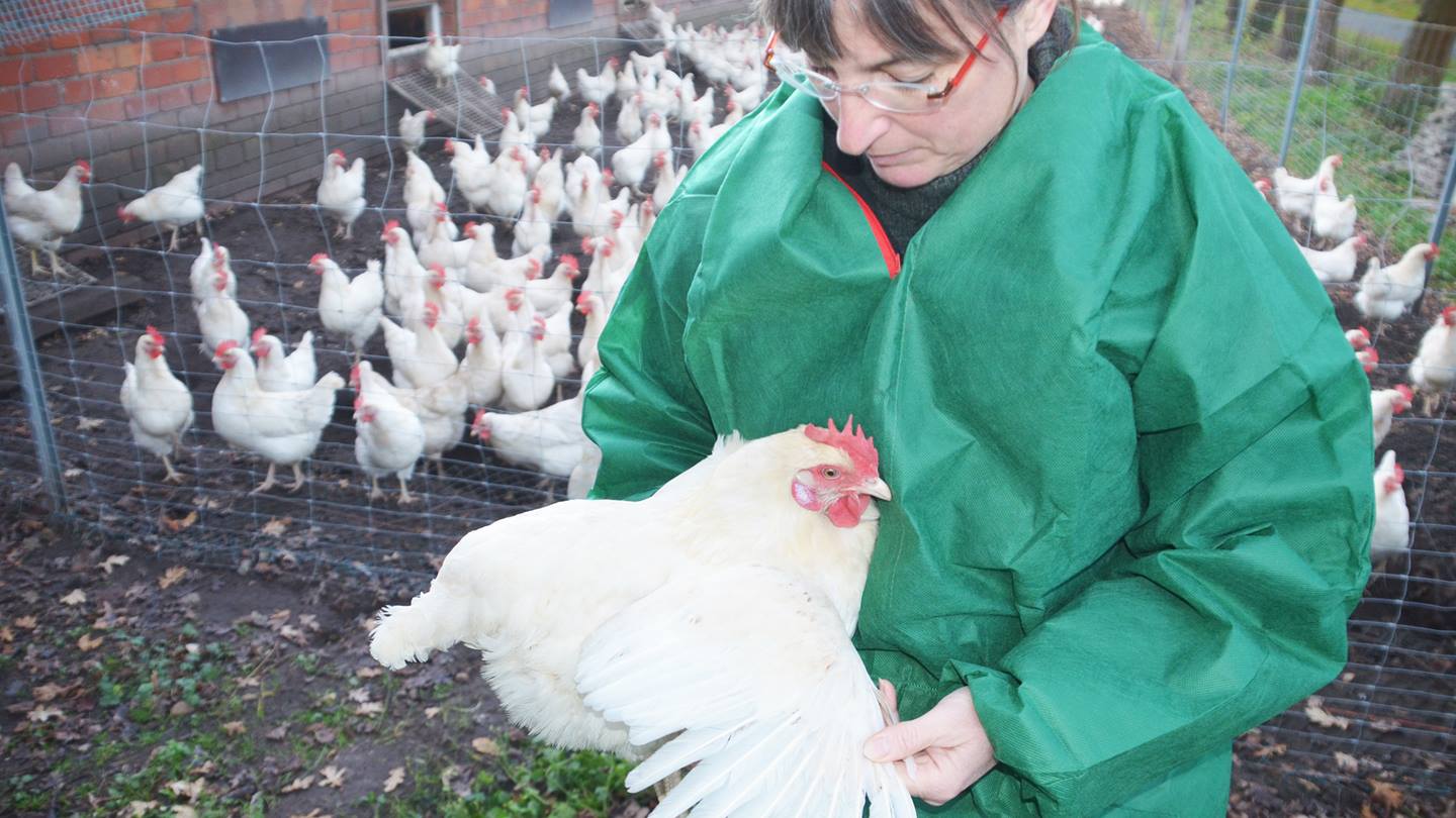 Dr. Christiane Keppler, die Hühnferflüsterin begutachtet die Hühner beim Audit