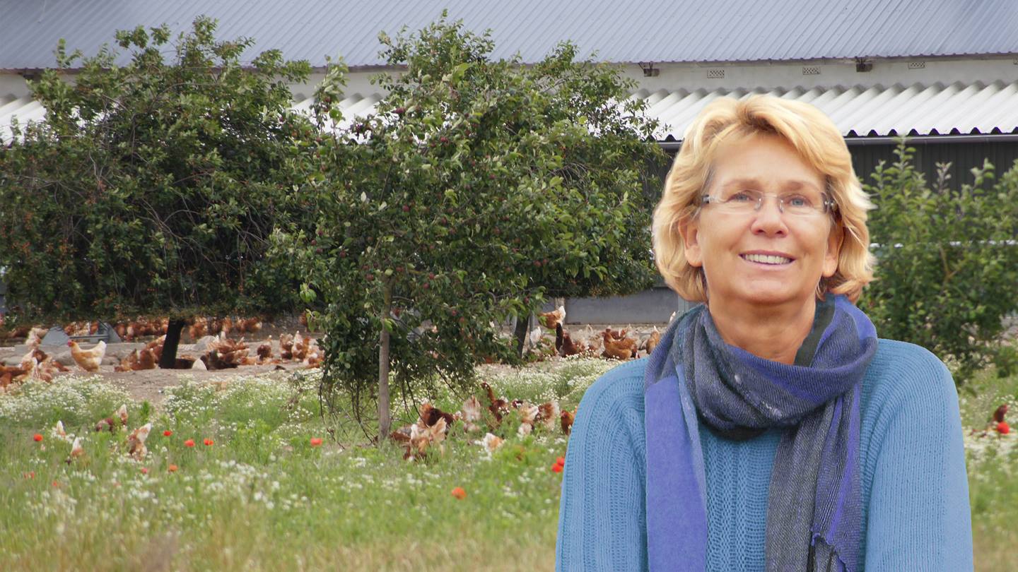 Alnatura Eierbauer Lembcke