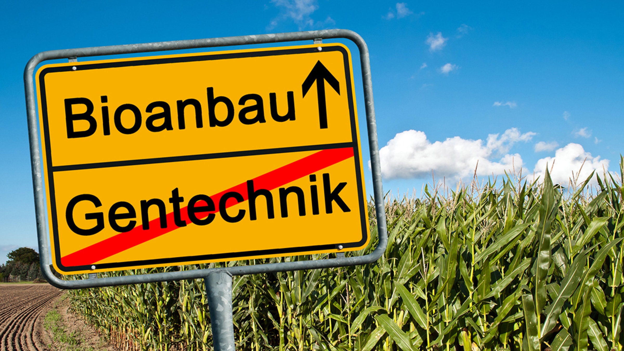 Männer kennenlernen flensburg Männer kennenlernen flensburg