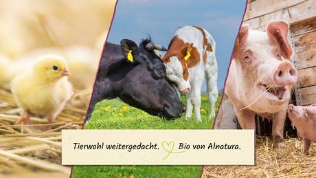Mehrere Tierbilder (Küken, Rinder und Schweine) mit Textfeld "Tierwohl weitergedacht. Bio von Alnatura."