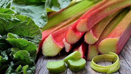 RhabarberSaison Wann ist Rhabarber Zeit? Alnatura Saisonkalender