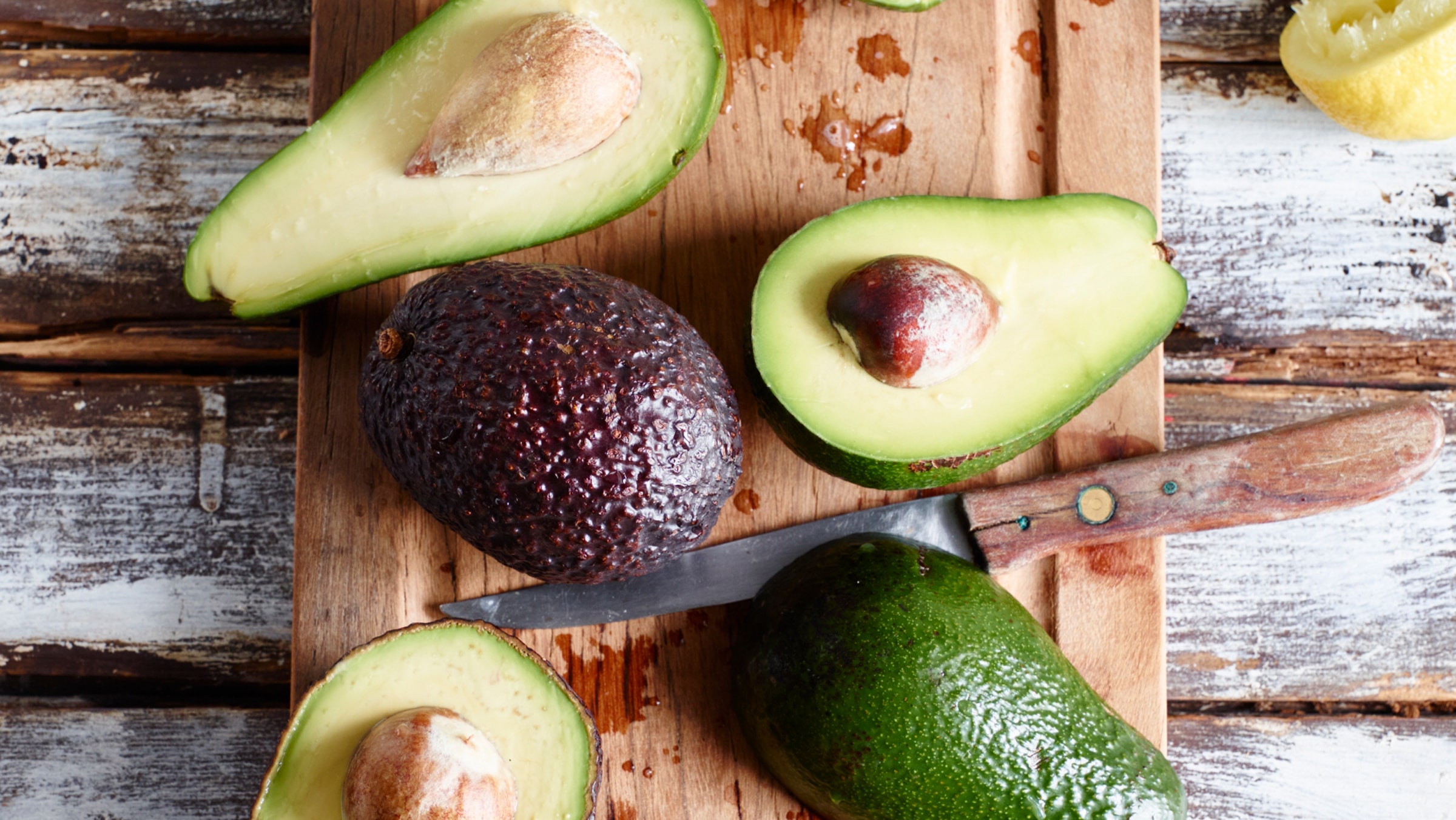 Avocado richtig aufbewahren Das richtige Lagern & seine Haltbarkeit