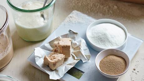 Backtriebmittel: frische Hefe, Trockenhefe, Backpulver und Weinsteinbackpulver