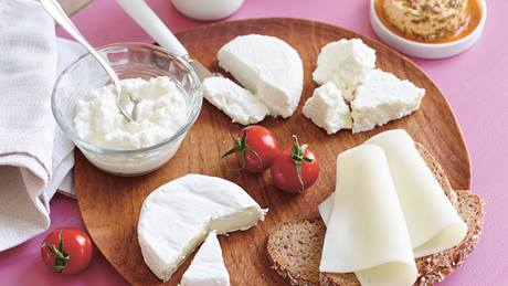 Produkte aus Ziegenmilch und Schafmilch: Käse, Frischkäse, Joghurt und Milch