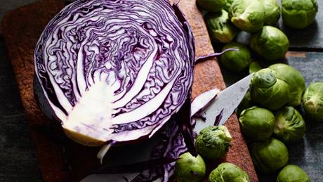 Kohlsorten: Rotkohl und Rosenkohl