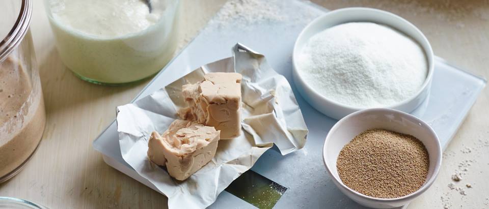 Backtriebmittel: Hefe, Trockenhefe, Sauerteig, Backferment