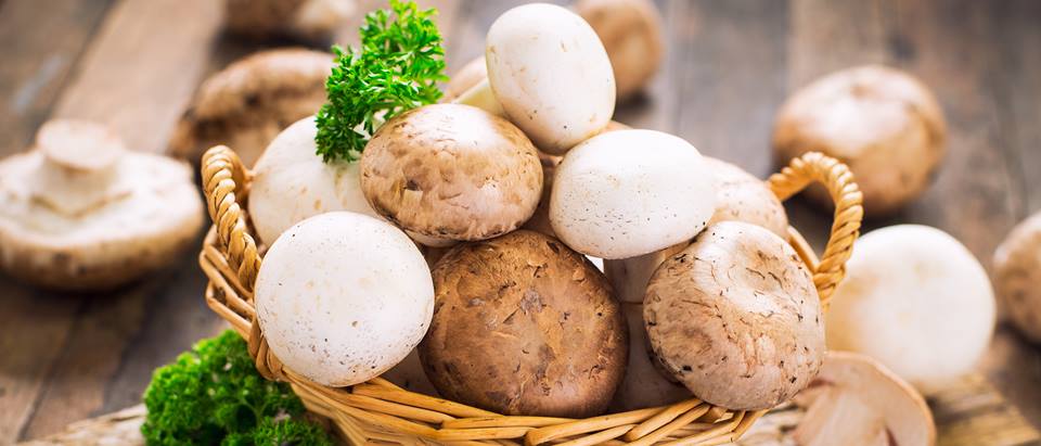 Champignons im Korb