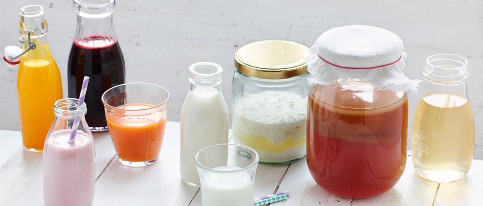 verschiedene fermentierte Getränke: Brottrunk, Kefir, Saft und Limonade, Joghurt und Schwedenmilch, Kombucha