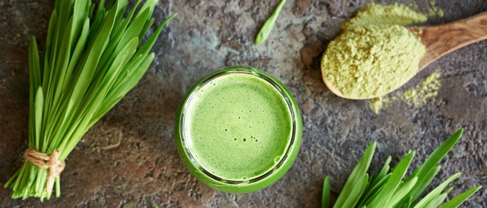 Gerstengras als Pflanze, Pulver und zubereitet im Glas auf einem Tisch