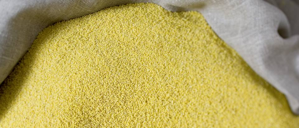 Warenkunde Hirse, Goldhirse und Produkte aus Hirse