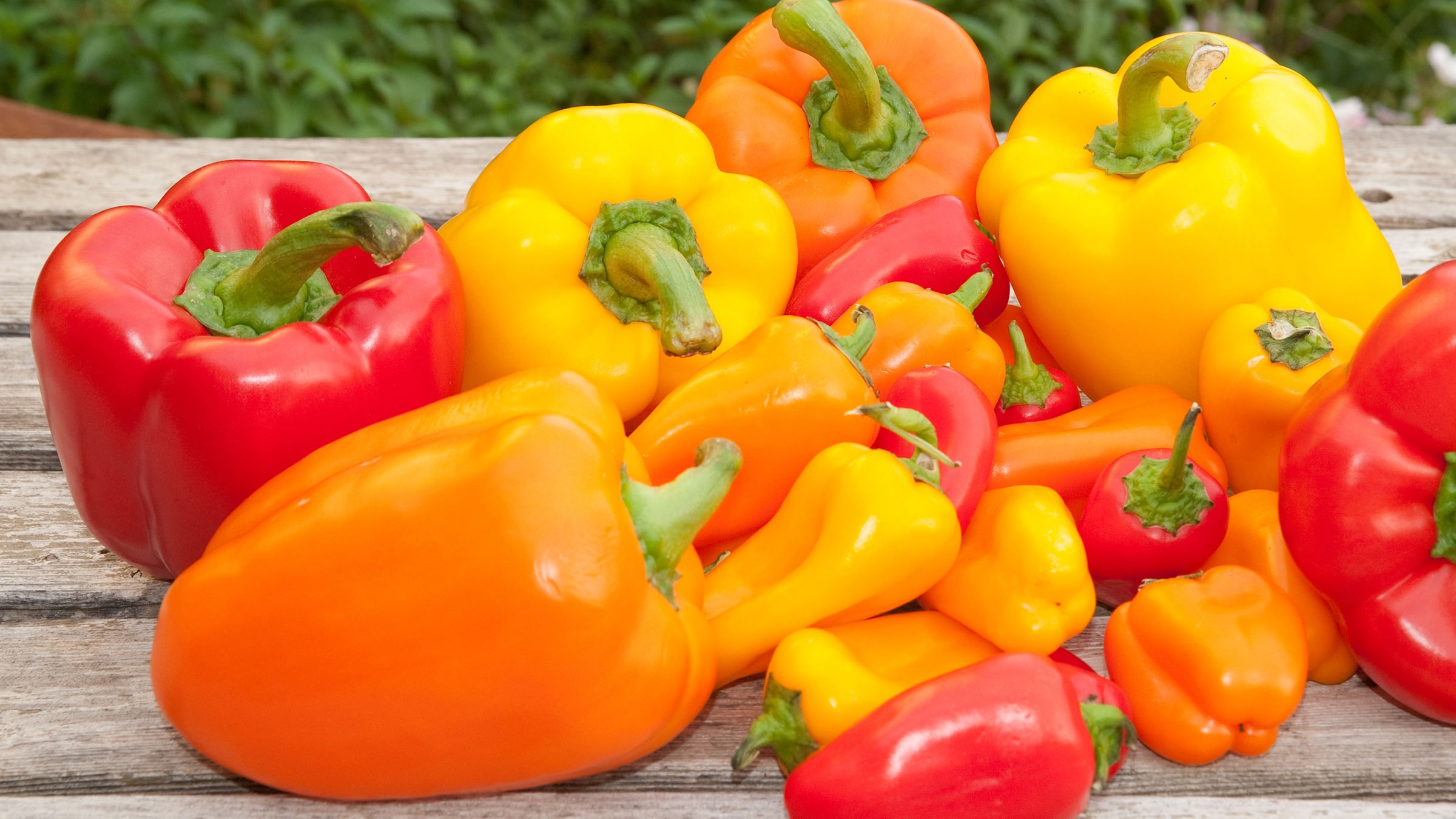 Paprika: Herkunft, Inhaltsstoffe & Rezepte | Alnatura