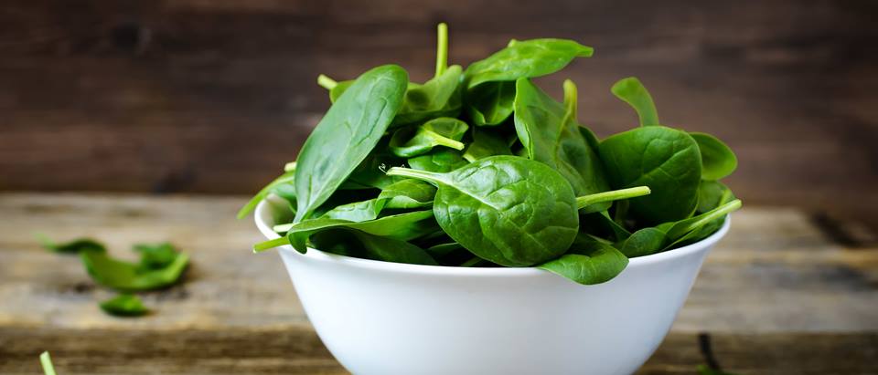 frischer Spinat - Babyspinat und Blattspinat