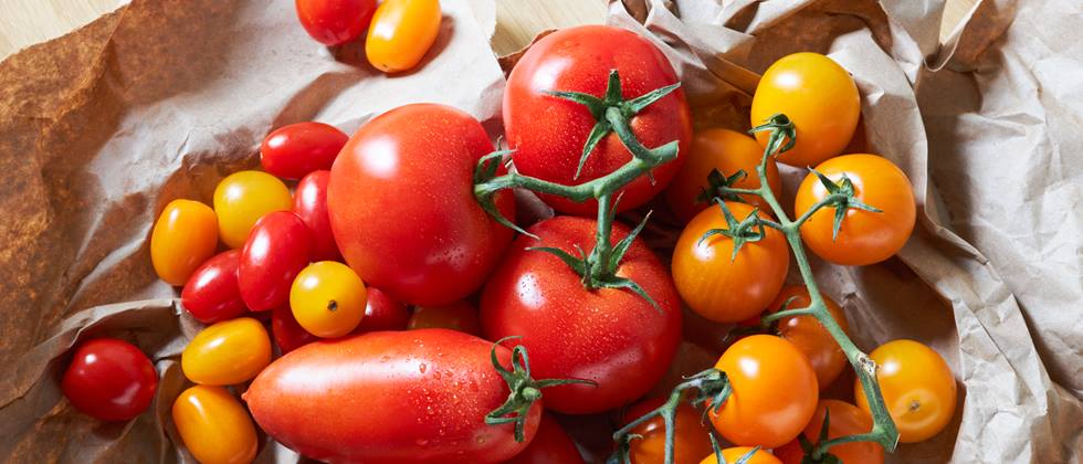 verschiedene Tomatensorten auf Papier