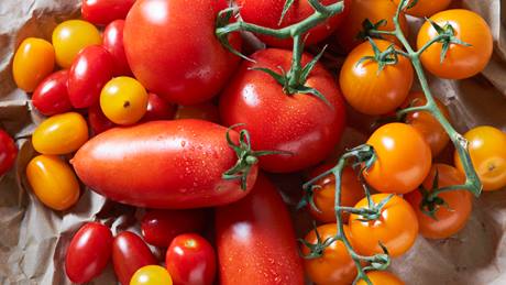 verschiedene Tomatensorten auf Papier