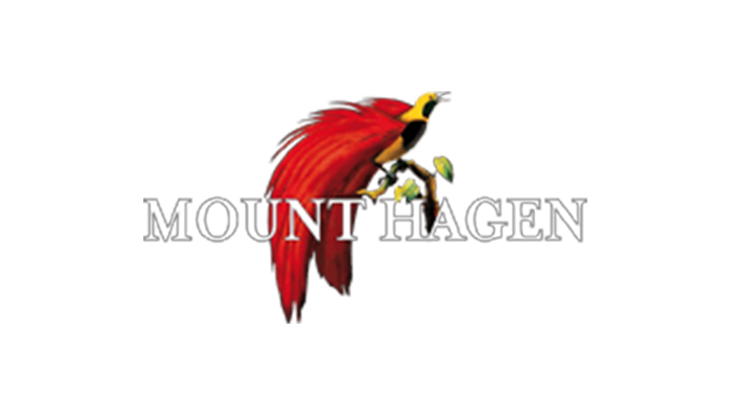 Mount Hagen Bio Kaffee Marken Im Alnatura Bio Supermarkt