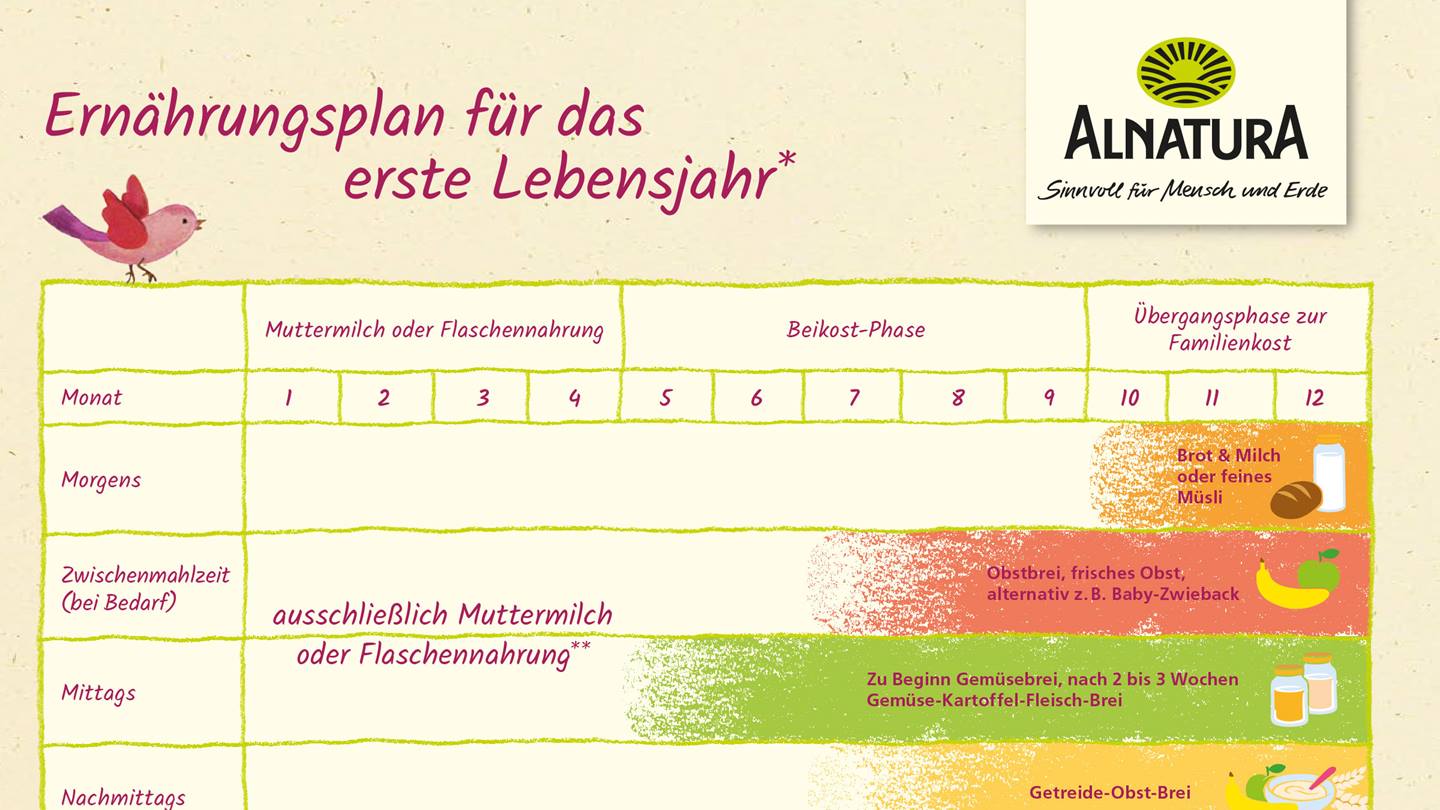 Alnatura Ernährungplan für Beikost-Start