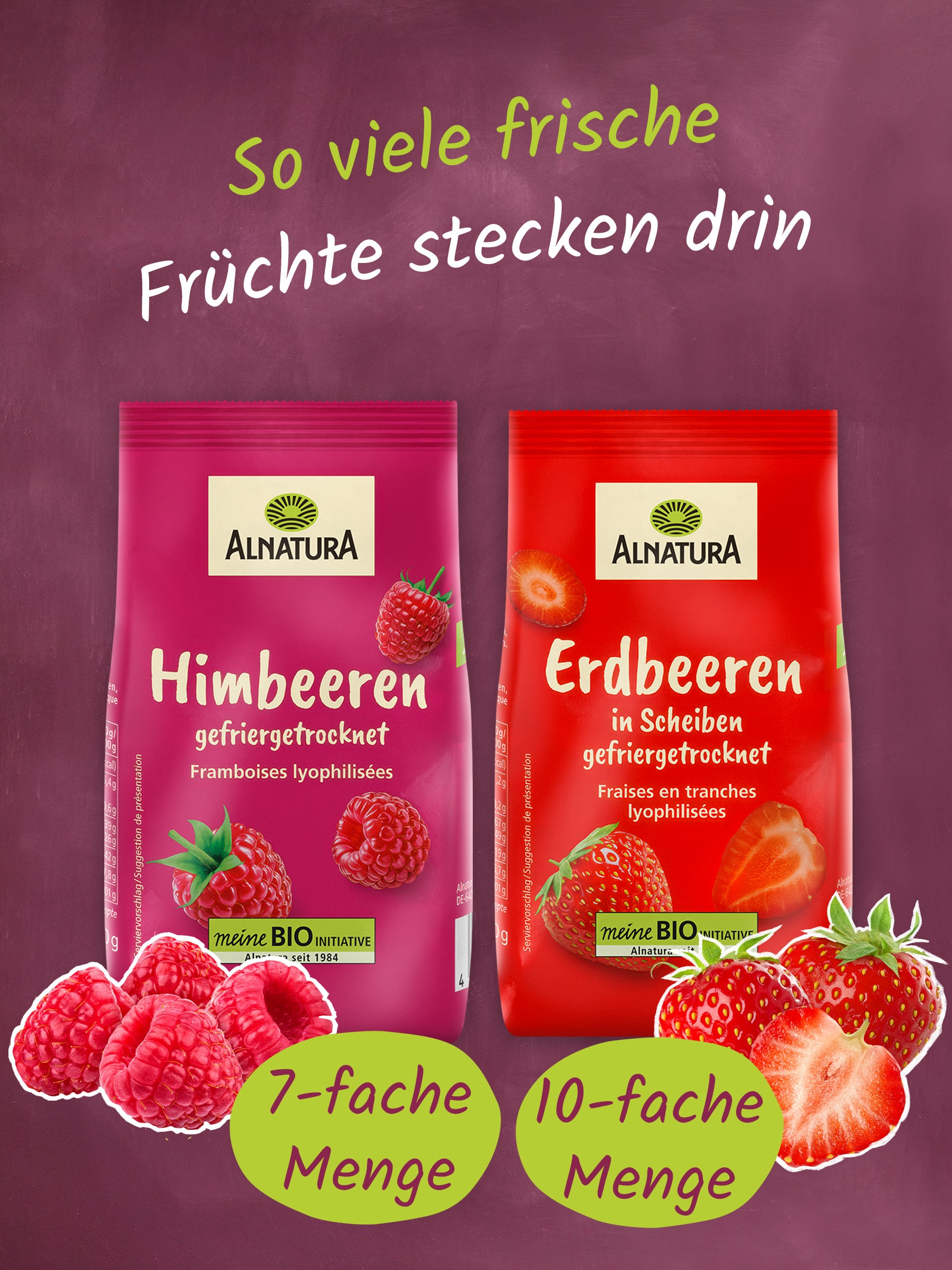 Das Bild zeigt zwei Packungen gefriergetrocknete Früchte der Marke Alnatura, Himbeeren und Erdbeeren, umgeben von frischen Früchten. Texte heben die Menge der verwendeten Früchte hervor.