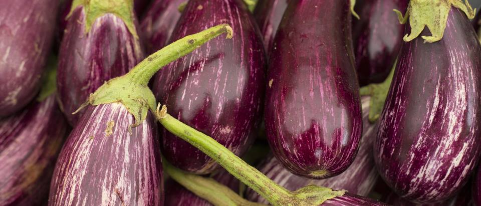 Alnatura Saisonkalender: Aubergine