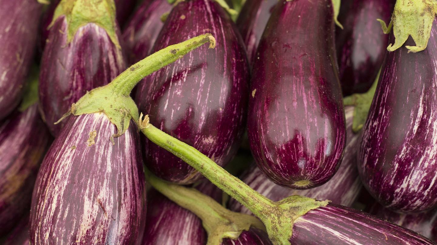 Alnatura Saisonkalender: Aubergine