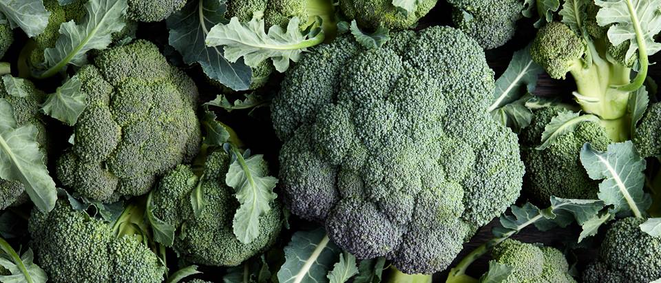 Alnatura Saisonkalender: Broccoli