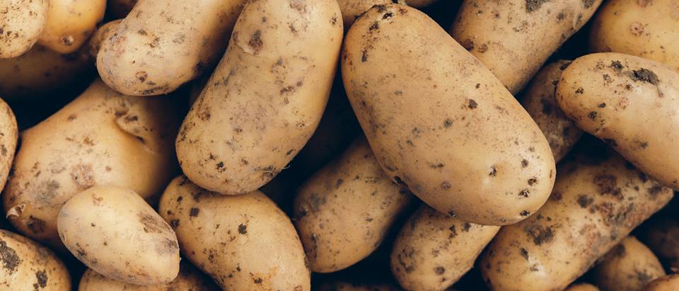 Alnatura Saisonkalender: Kartoffeln
